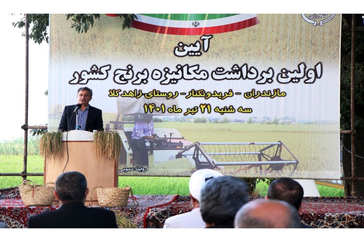 لزوم توسعه کشت ارقام هیبرید برنج در مازندران