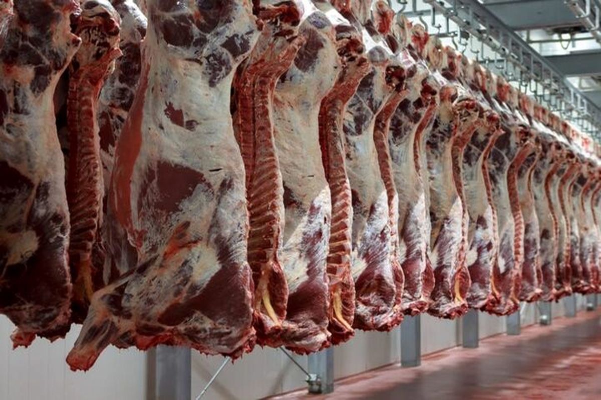 طرح «تولید گوشت قراردادی» اجرا می‌شود
