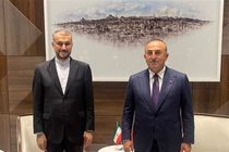 Iran Ready to Contribute to Political Settlement of Ukraine War