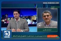 صحبت‌های استاندار فارس در خصوص بازگشایی مجدد درب‌های حرم شاهچراغ + فیلم