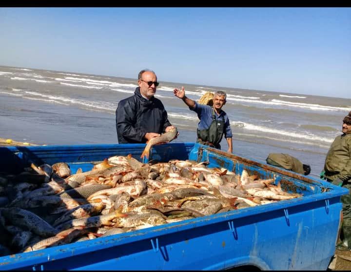 افزایش صید ماهیان استخوانی در مازندران