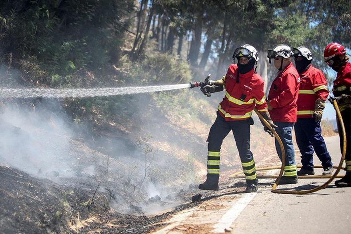 آتش سوزی گسترده در مرکز پرتغال