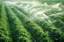  آبیاری نوین در بیش از 600 هکتار  زمین های کشاورزی درآران و بیدگل