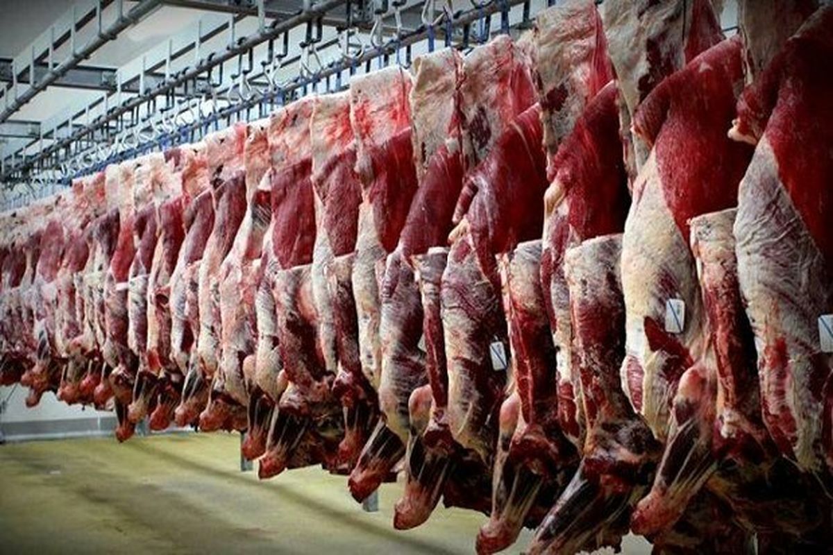 پارس آباد مغان تولید کننده ۷هزارتن گوشت قرمز