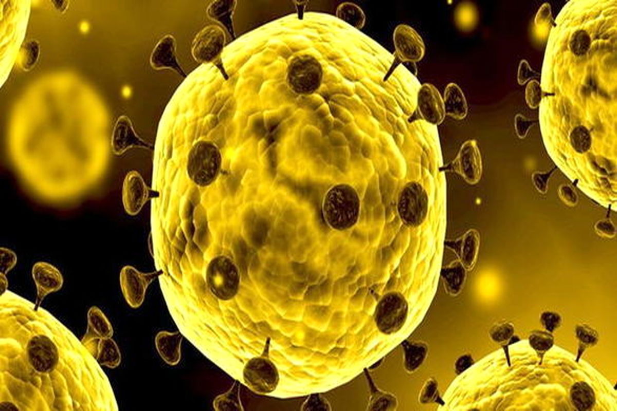 شناسایی سه مورد جدید ابتلا به ویروس کرونا در قم و اراک