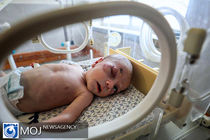 انتقال نوزادان تازه متولد شده از غزه به مصر