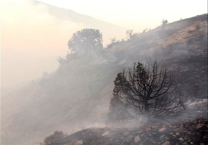 مهار شدن آتش در جنگل‌های شهرستان گالیکش