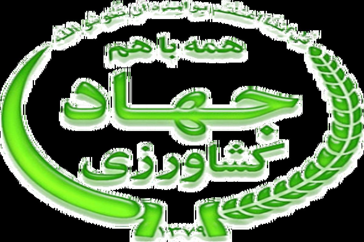 سازمان جهاد کشاورزی هرمزگان دستگاه برتر در جشنواره شهید رجایی