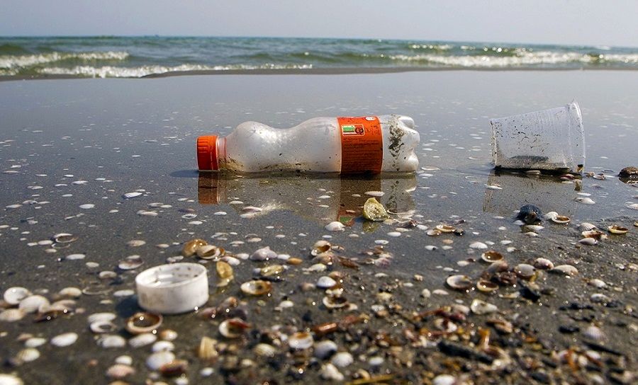 لزوم تشکیل گارد ساحلی برای محافظت از عرصه‌های آبی/ برگزاری برنامه‌ای با عنوان نبرد با غول پلاستیک در بندرلنگه