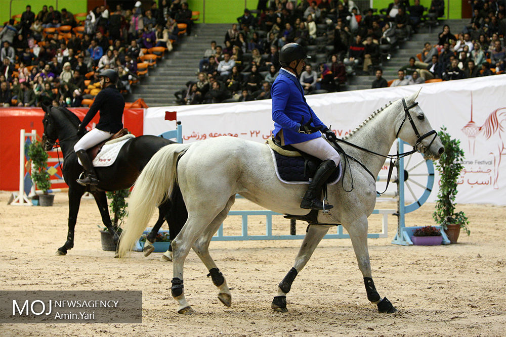 اسب های اصیل ایرانی و عربی در جشنواره ملی به نمایش درآمدند