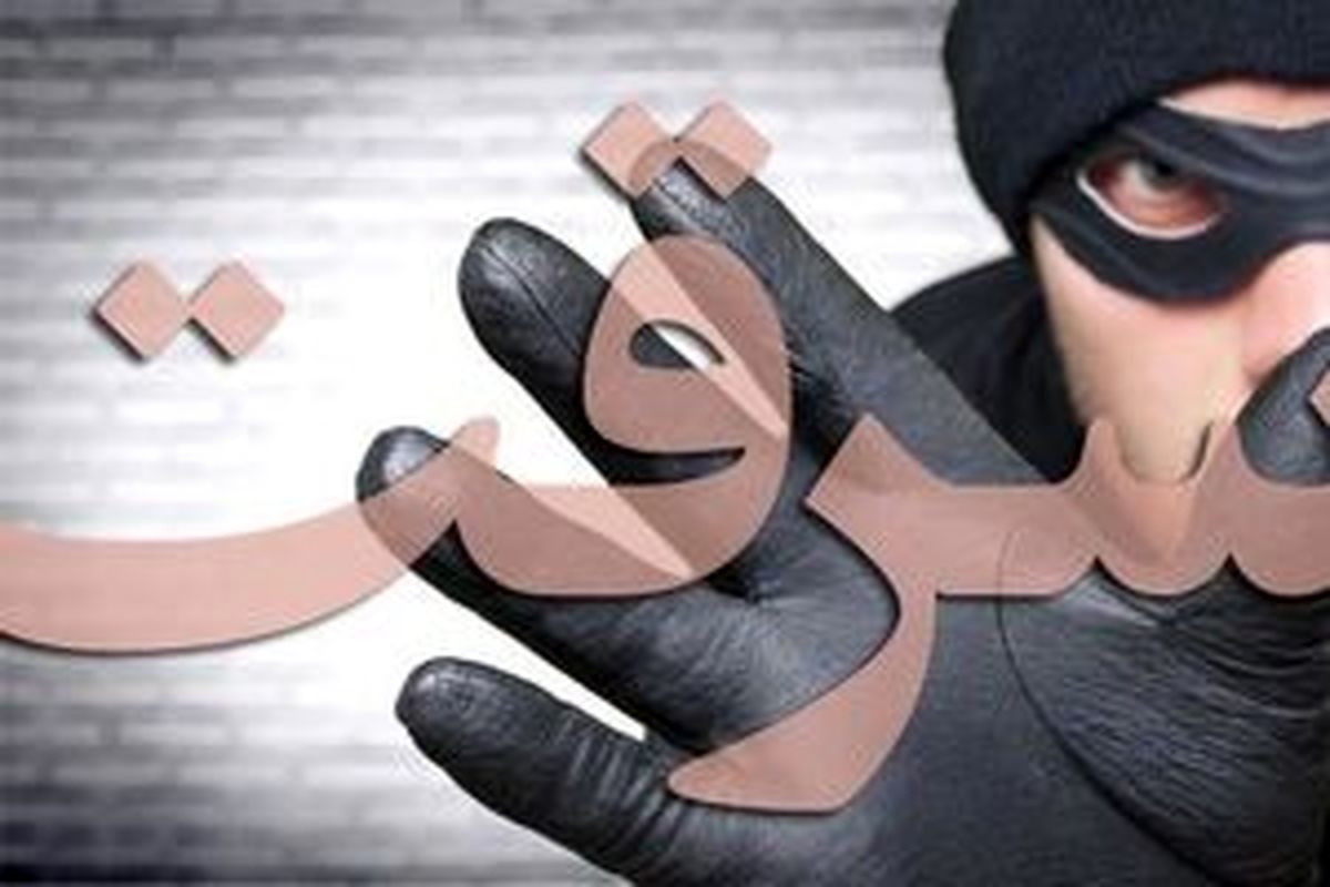 دستگیری ۲۵۴ متهم به سرقت در اجرای طرح ارتقای امنیت اجتماعی مشهد