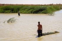 رودخانه هیرمند سیستان و بلوچستان پُر آب شد