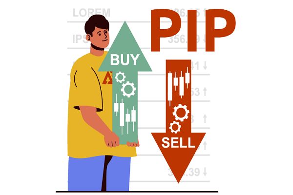 اهمیت استفاده از پیپ در بازار فارکس چیست؟