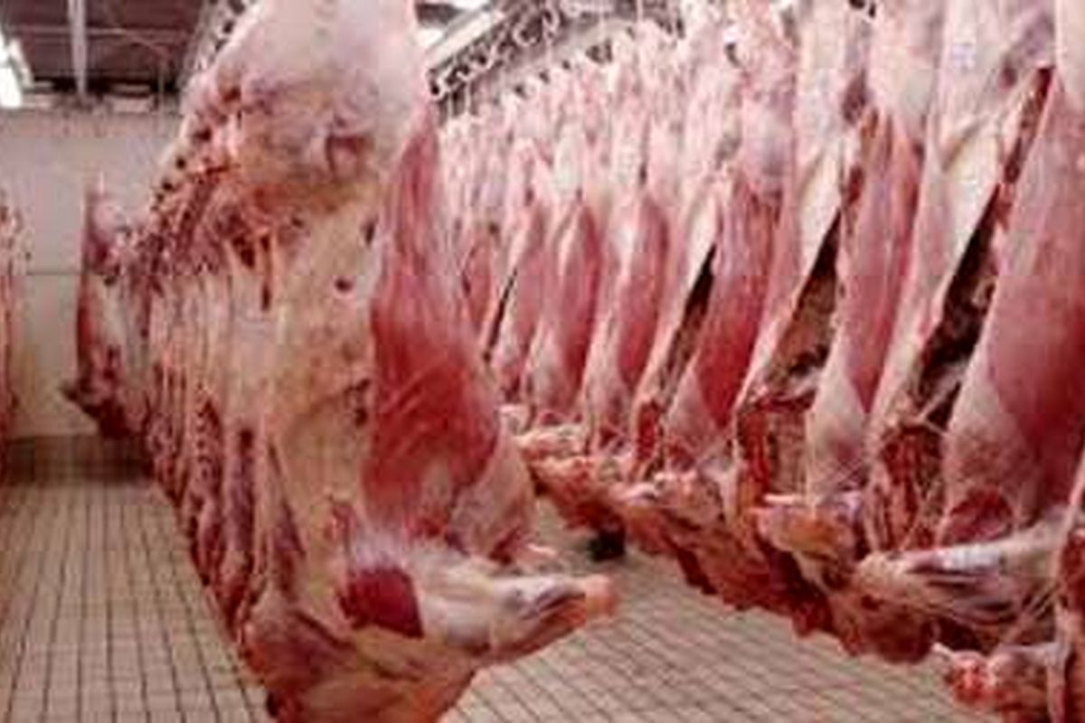 توافق صادرات گوشت و ماهی از روسیه به ایران نهایی شد
