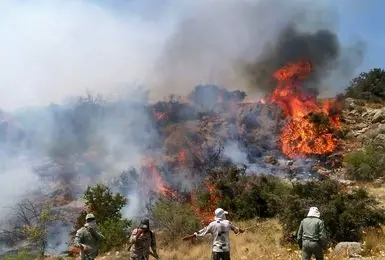 موج‌سواری رسانه‌های معاند بر آتش‌سوزی جنگل‌های هیرکانی