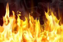 30 هکتار از مزارع کشاورزی خرم‌آباد در آتش سوخت