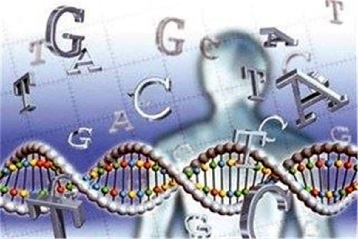  استفاده از مشاوره ژنتیک باید از سوی سازمان بهزیستی اعلام شود