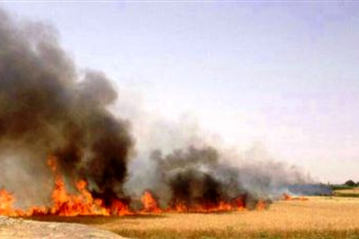 آتش سوزی در ۷۵۰ هکتار از مزارع شهرستان اسلام آبادغرب