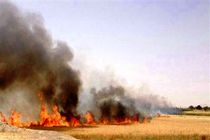 آتش سوزی در ۷۵۰ هکتار از مزارع شهرستان اسلام آبادغرب