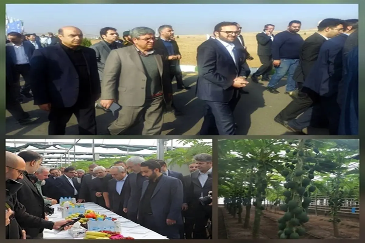 بانک کشاورزی