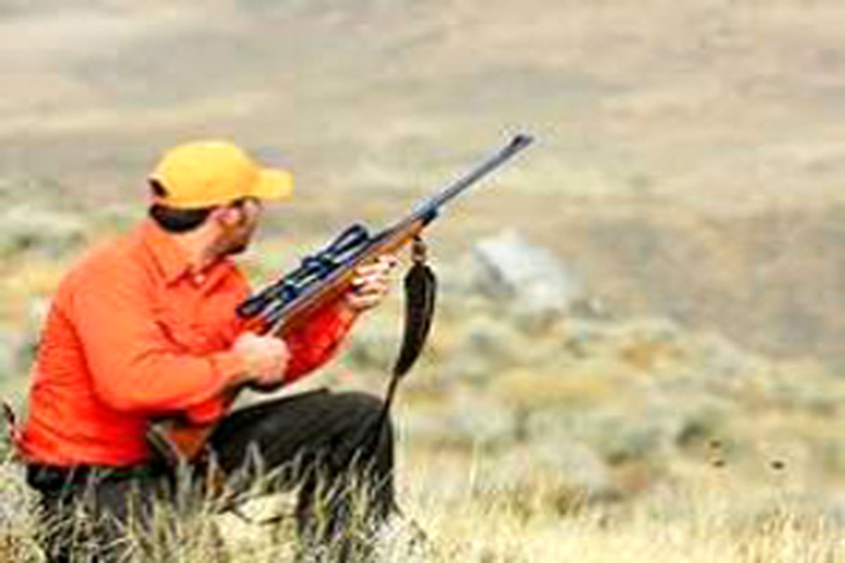 شکار پرندگان مهاجر وحشی تا اطلاع ثانوی ممنوع است