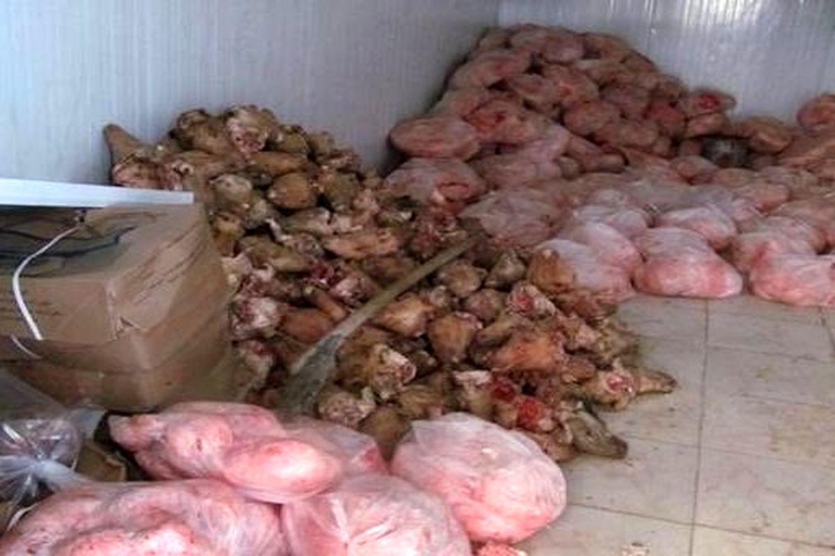 500 کیلو گوشت و مرغ فاسد کشف و معدوم شد