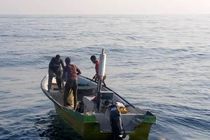 نجات جان سرنشینان قایق مفقودی در کیش