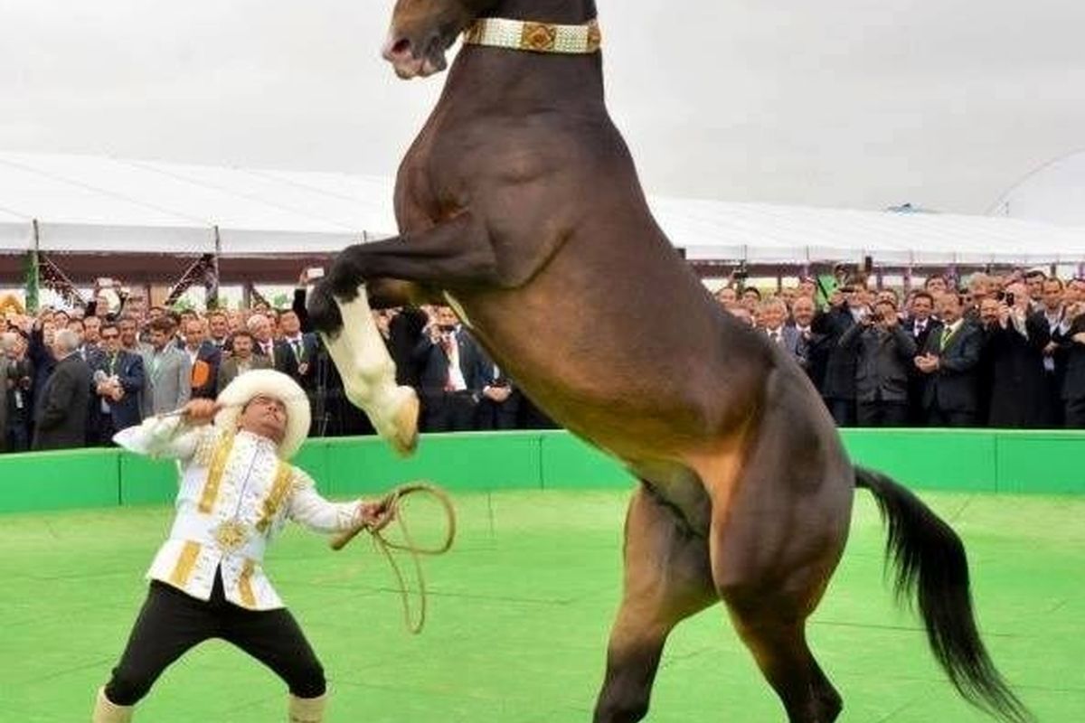 جشنواره بزرگ اسب ترکمن با حضور داوران بین المللی برپا می شود