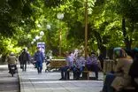 برگزاری گردهمایی بیماران ام‌اس در گذر فرهنگی چهارباغ