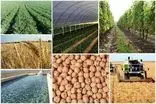 مازندران در صدر تولید ۱۲ محصول راهبردی کشاورزی
