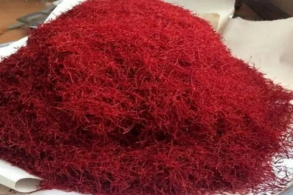 زعفران ایران همچنان قربانی برند خارجی است
