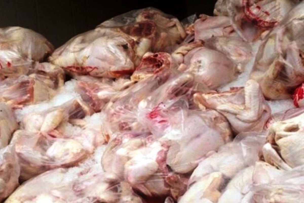 کشف ذبح و بسته بندی غیر بهداشتی گوشت مرغ  در اصفهان/ معدوم سازی 1400 کیلوگرم گوشت مرغ