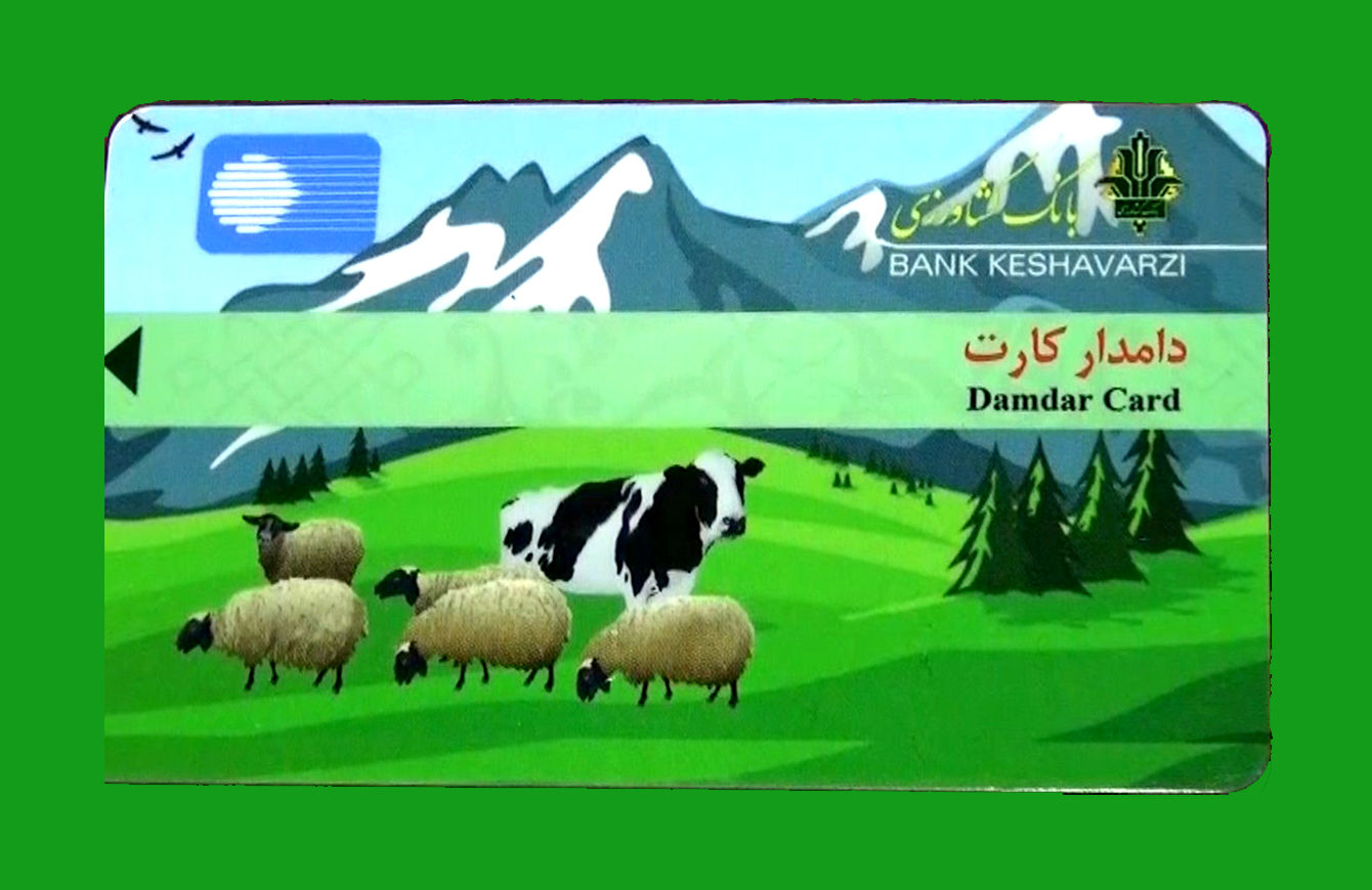 صدور 29 دامدار کارت برای دامداران بهشهری/ 840 میلیون تسهیلات پرداخت شد