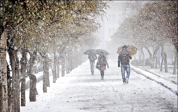کولرها در تهران روشن است اما شمالی ها منتظر برف باشند