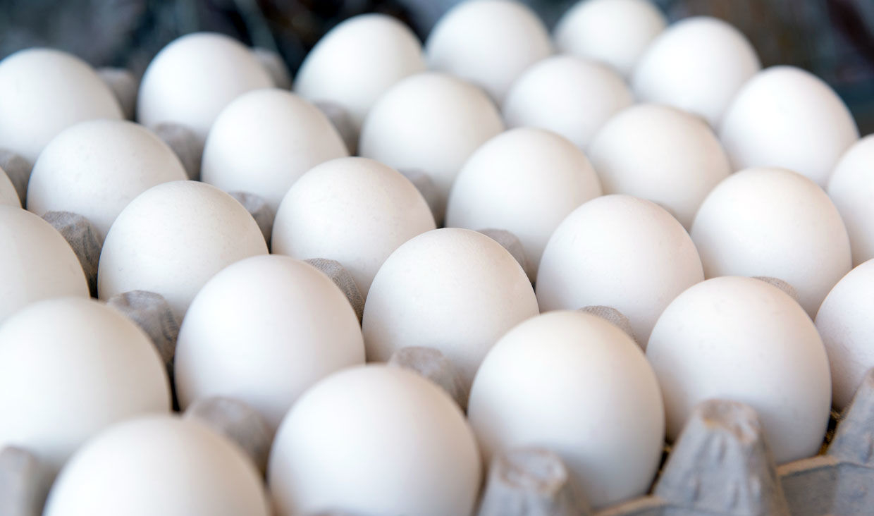 قیمت تخم مرغ حداکثر شانه ای ۱۲ هزار و  ۵۰۰ تومان است