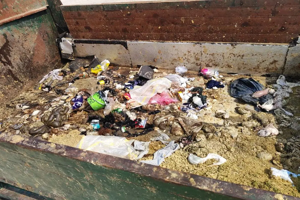 کشتارگاه دام