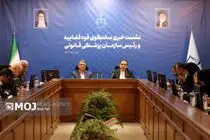 ۱۱۵ نفر از محکومان امنیتی مشمول عفو رهبری شدند/در پرونده پژمان جمشیدی نباید نام متهم پیش از اثبات فاش میشد + فیلم