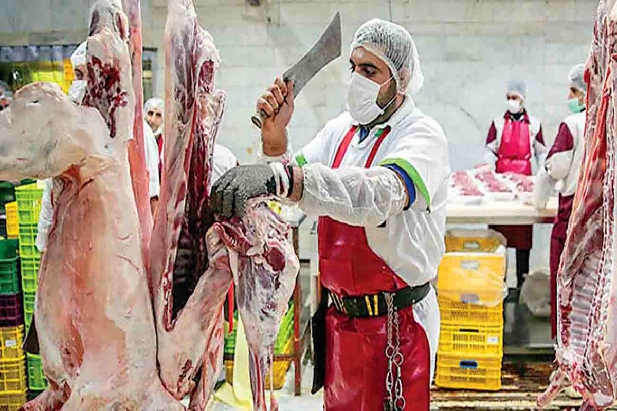 قیمت گوشت قرمز در این تاریخ سقوط می‌کند / آغاز شمارش معکوس برای ریزش قیمت گوشت قرمز