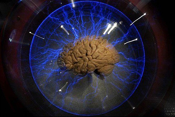نخستین مسابقه ملی مغز و شناخت برگزار می‌شود