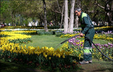 جایگزینی پساب بجای آب شرب برای آبیاری فضای سبز در مشهد