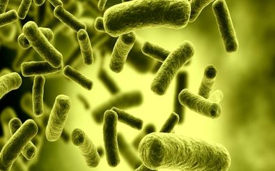مقاومت میکروبی در 50درصد بیماری‌های واگیر