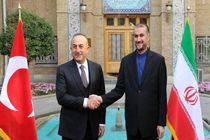 امیرعبداللهیان با وزیر امور خارجه ترکیه دیدار و گفتگو کرد
