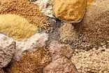 برداشت ۵۰ تن غلات از مزارع تحقیقاتی خراسان رضوی برداشت شد