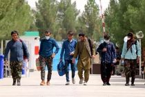 بسیاری از پناهجویان افغان خاک ایران را به مقصد افغانستان ترک کردند