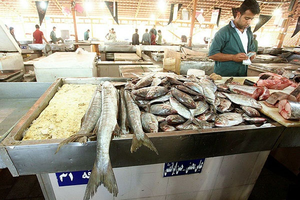 ممنوعیت فروش ماهی به اتباع خارجی در منطقه آزاد اروند 