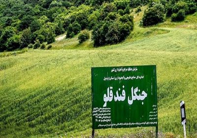 جلوی تخریب جنگل‌های استان اردبیل گرفته می‌شود