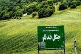 جلوی تخریب جنگل‌های استان اردبیل گرفته می‌شود