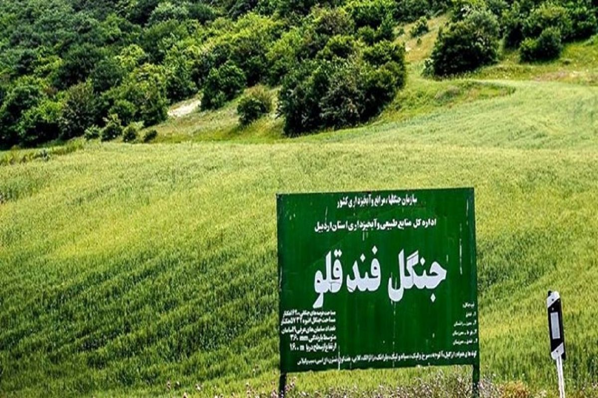 حفاظت از منابع طبیعی استان اردبیل ارتقا می‌یابد