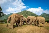 جاهای دیدنی تایلند؛ از معابد باستانی تا سواحل بهشتی