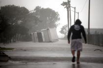 طوفان ایرما به کشاورزی فلوریدا ۳۰ درصد آسیب زد